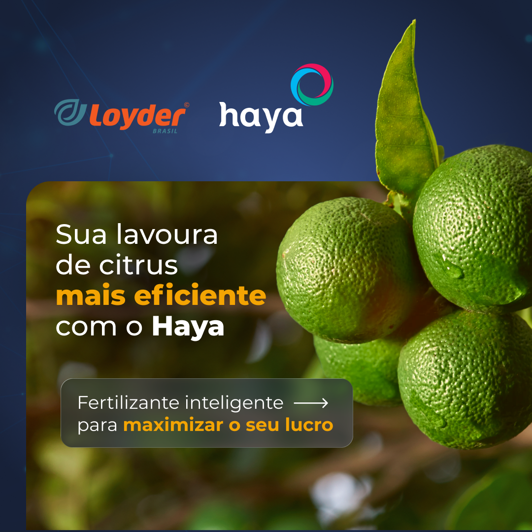 Loyder Brasil Facebook ad: Mais lucro e produtividade na sua lavoura de…