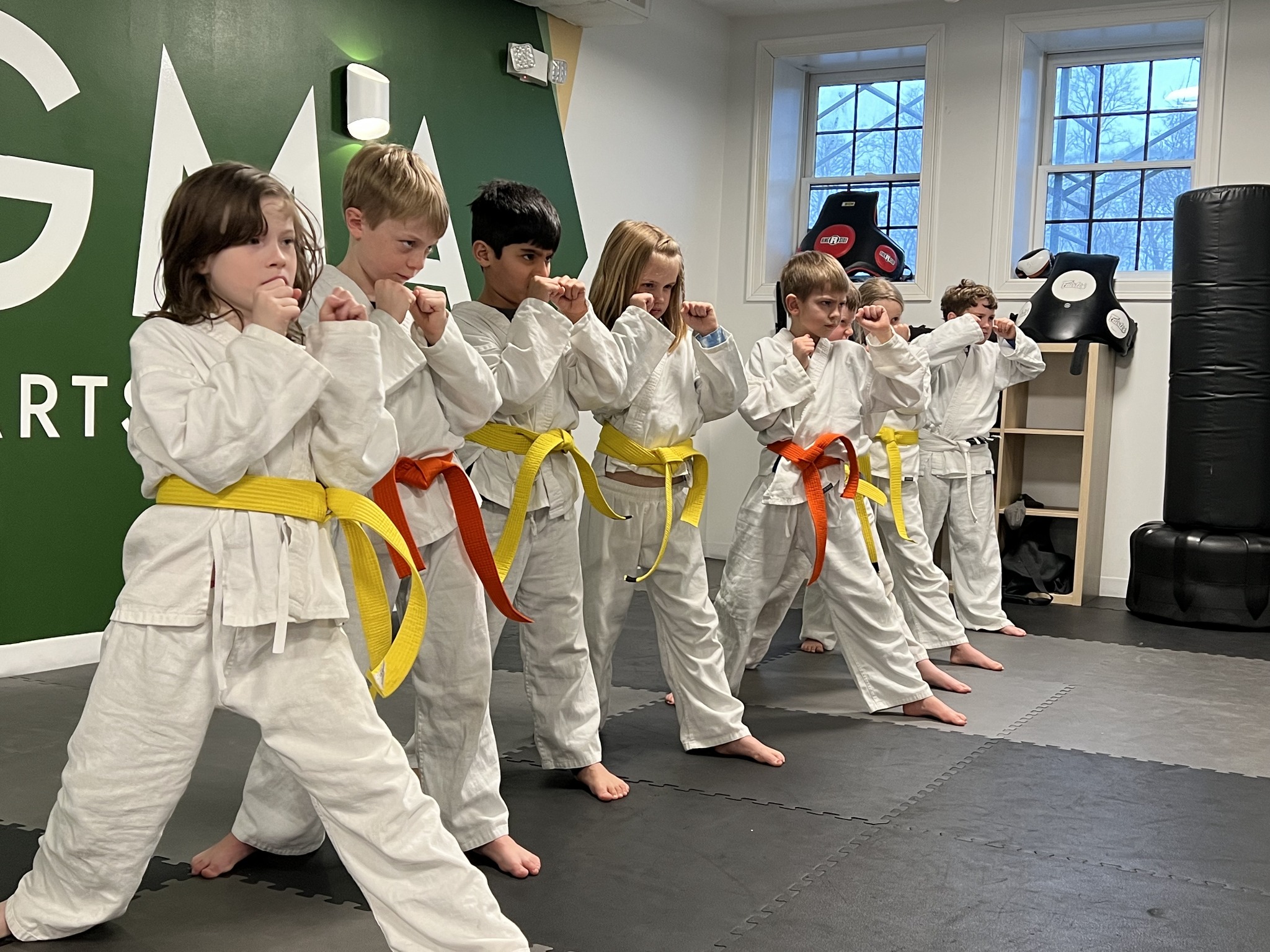 Sigma Martial Arts & Fitness Facebook ad