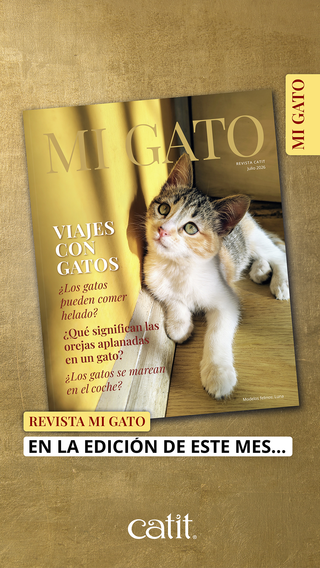Catit España Facebook ad