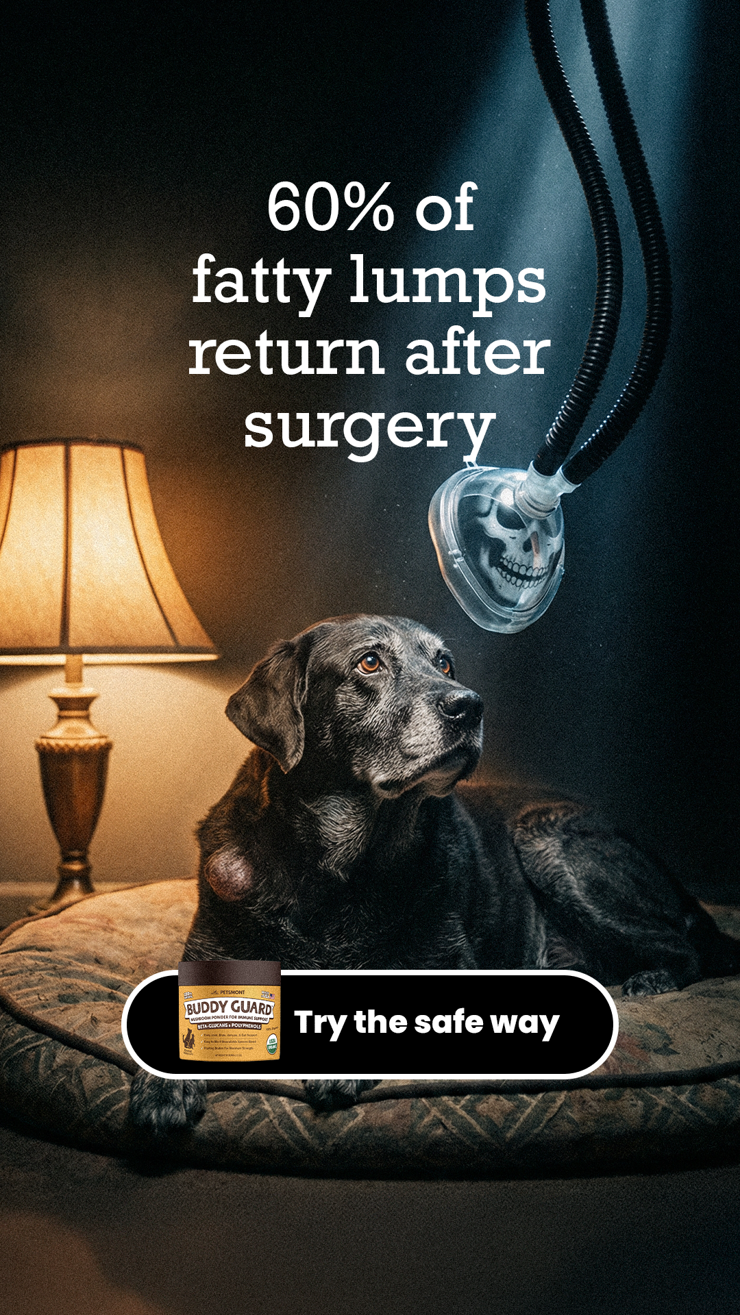 Petsmont Facebook ad