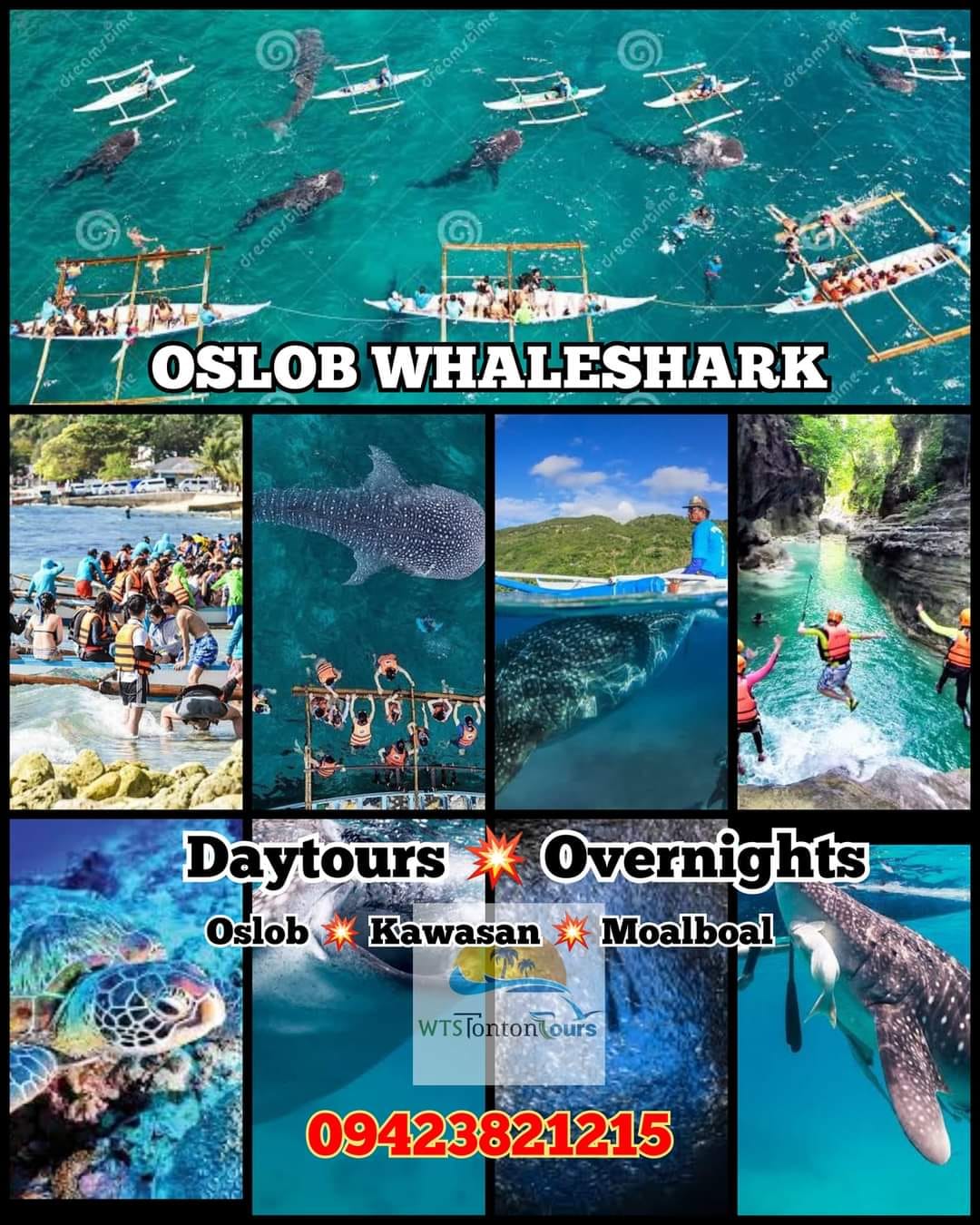 WTS TonTon Tours Oslob Facebook ad: SWIM WITH THE WHALE SHARKS IN Cebu!