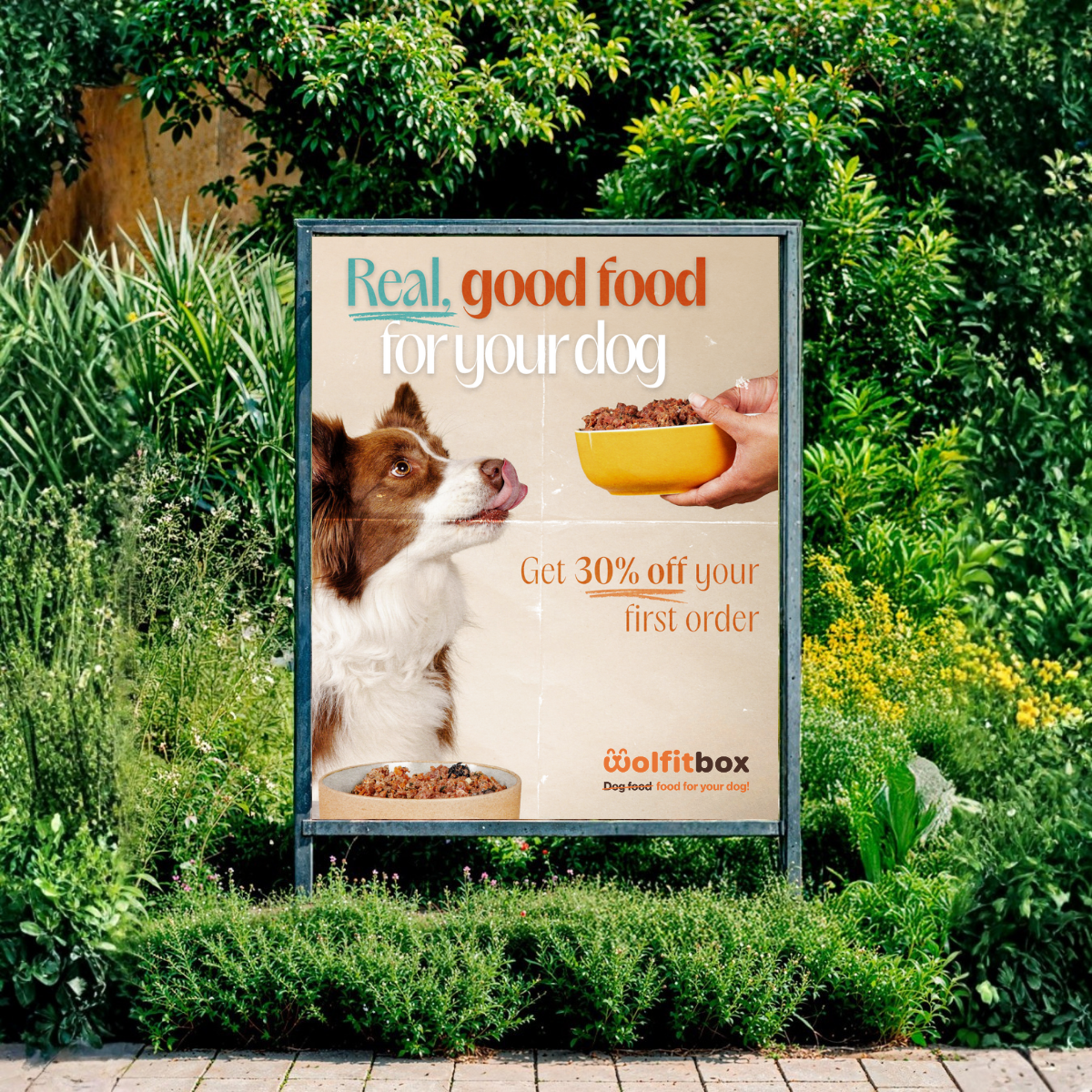 Wolfit Box Facebook ad: Why 6,384+ Dog Owners Made The Switch