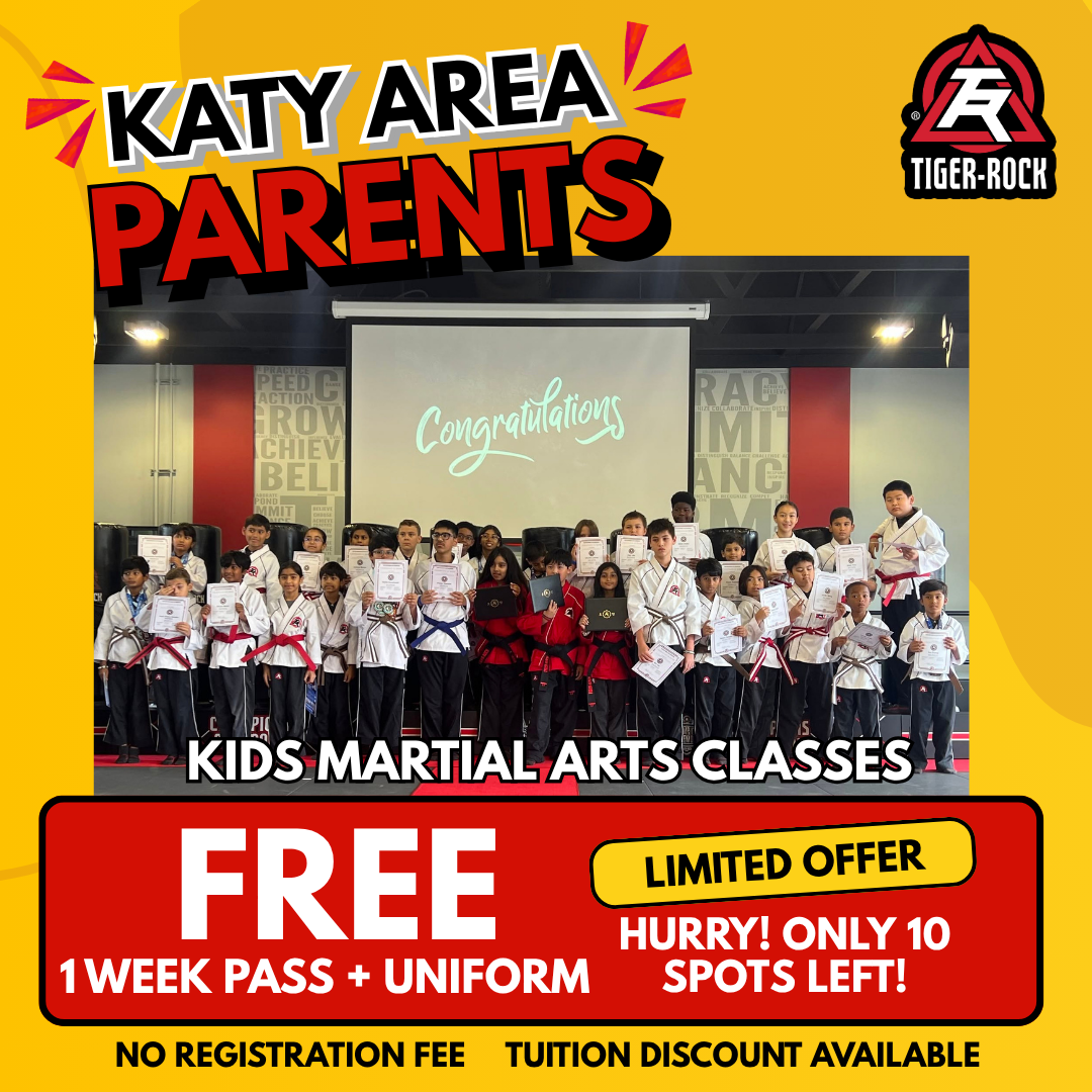 Tiger Rock Martial Arts of Katy South Facebook ad