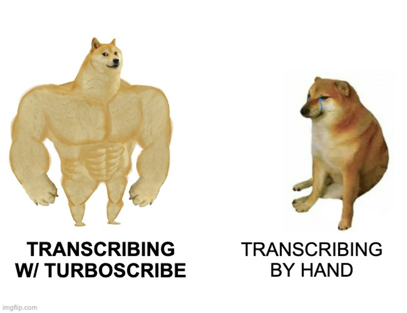 TurboScribe Facebook ad: Transcribe Audio and Video to Text