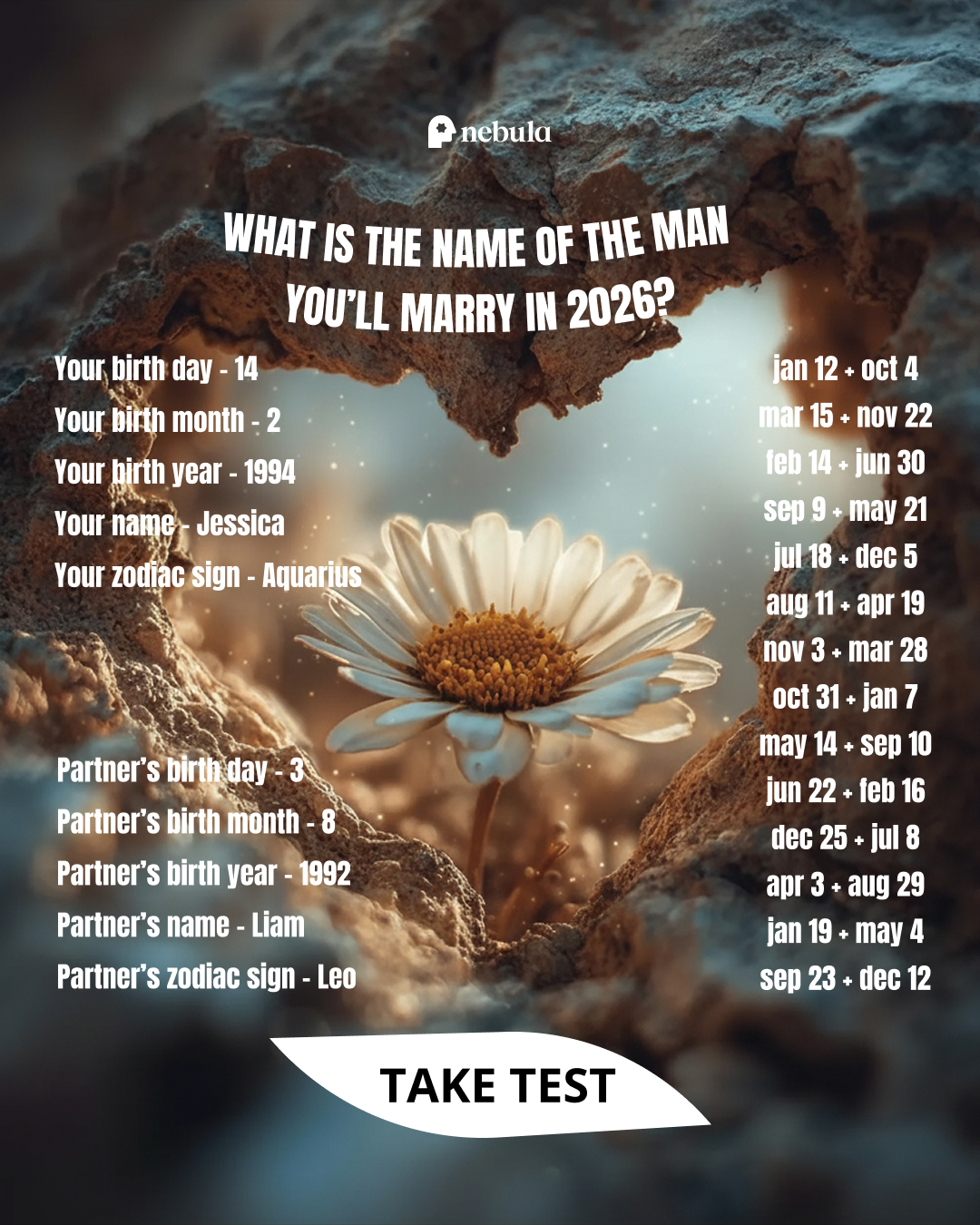 Nebula: Marriage Compatibility Facebook ad
