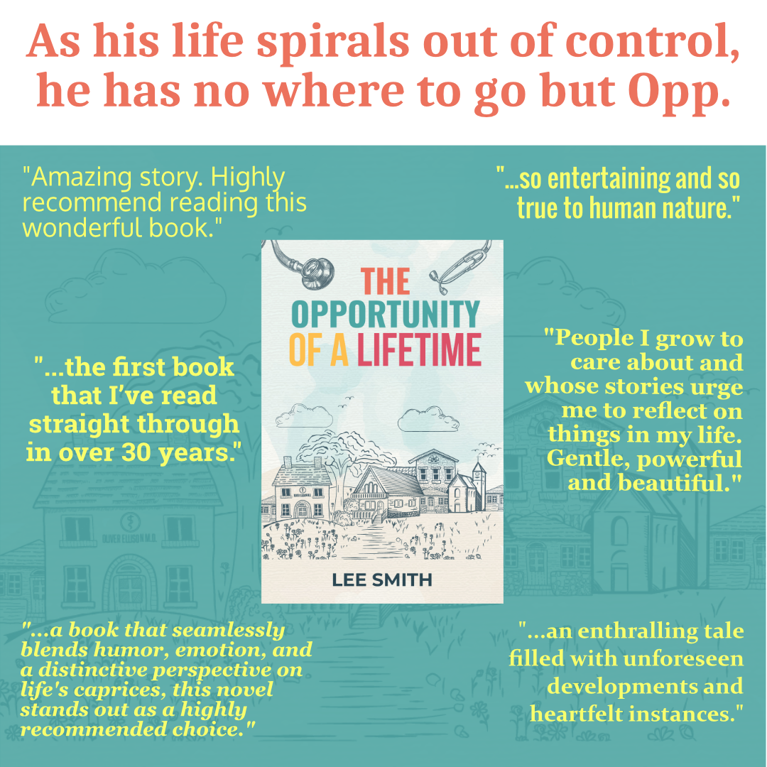 Lee Smith, Author Facebook ad: From Chaos to Opportunity