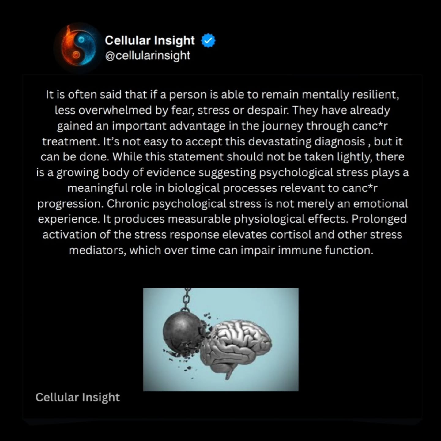 cellularinsight Facebook ad