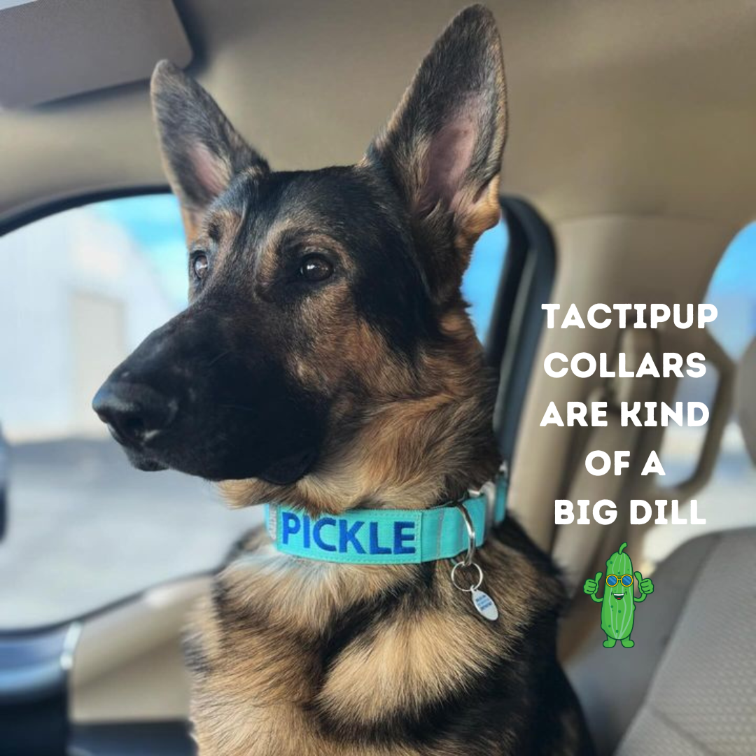 Tactipup Facebook ad