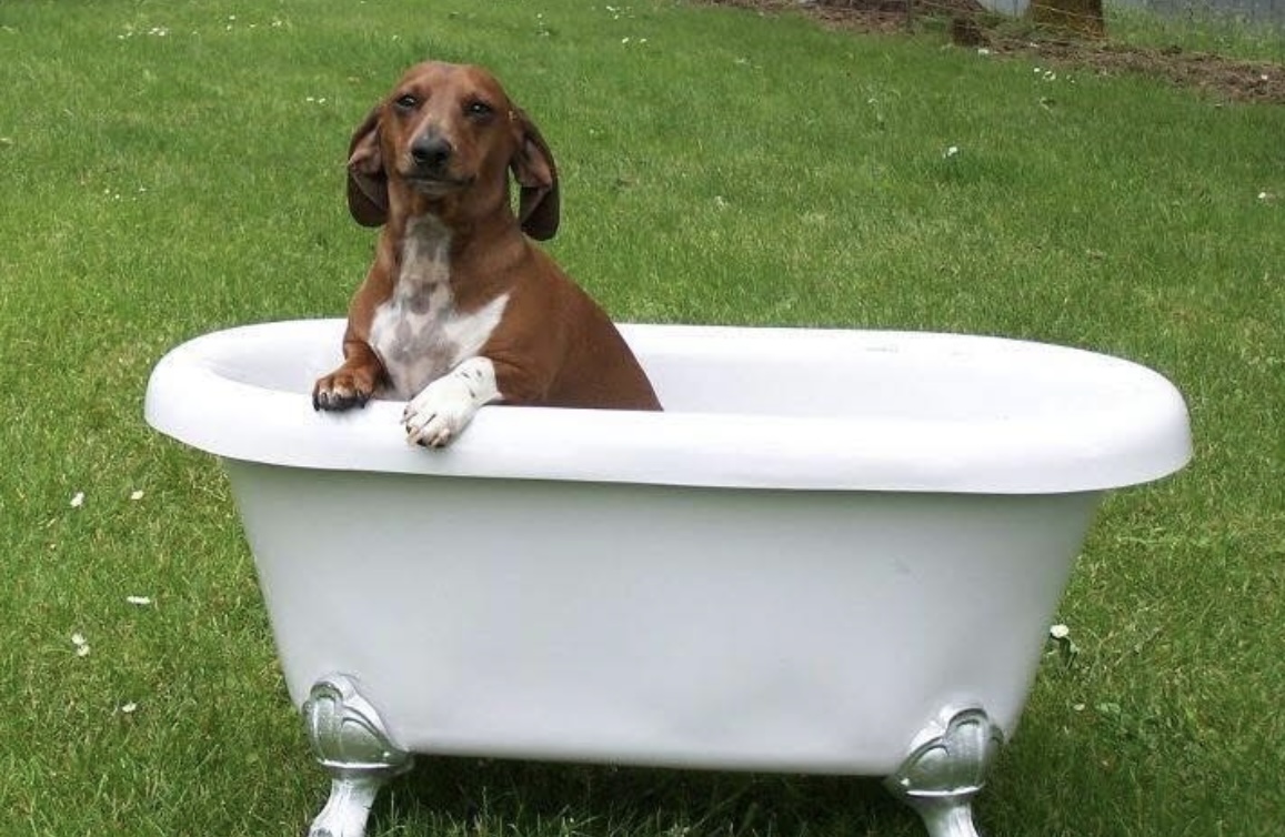 Baxter Plumbing & Rooter Facebook ad: Baxter Does It All!