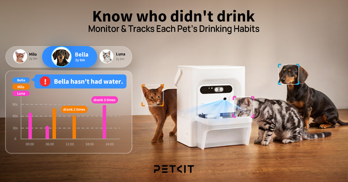 Petkitofficial Facebook ad