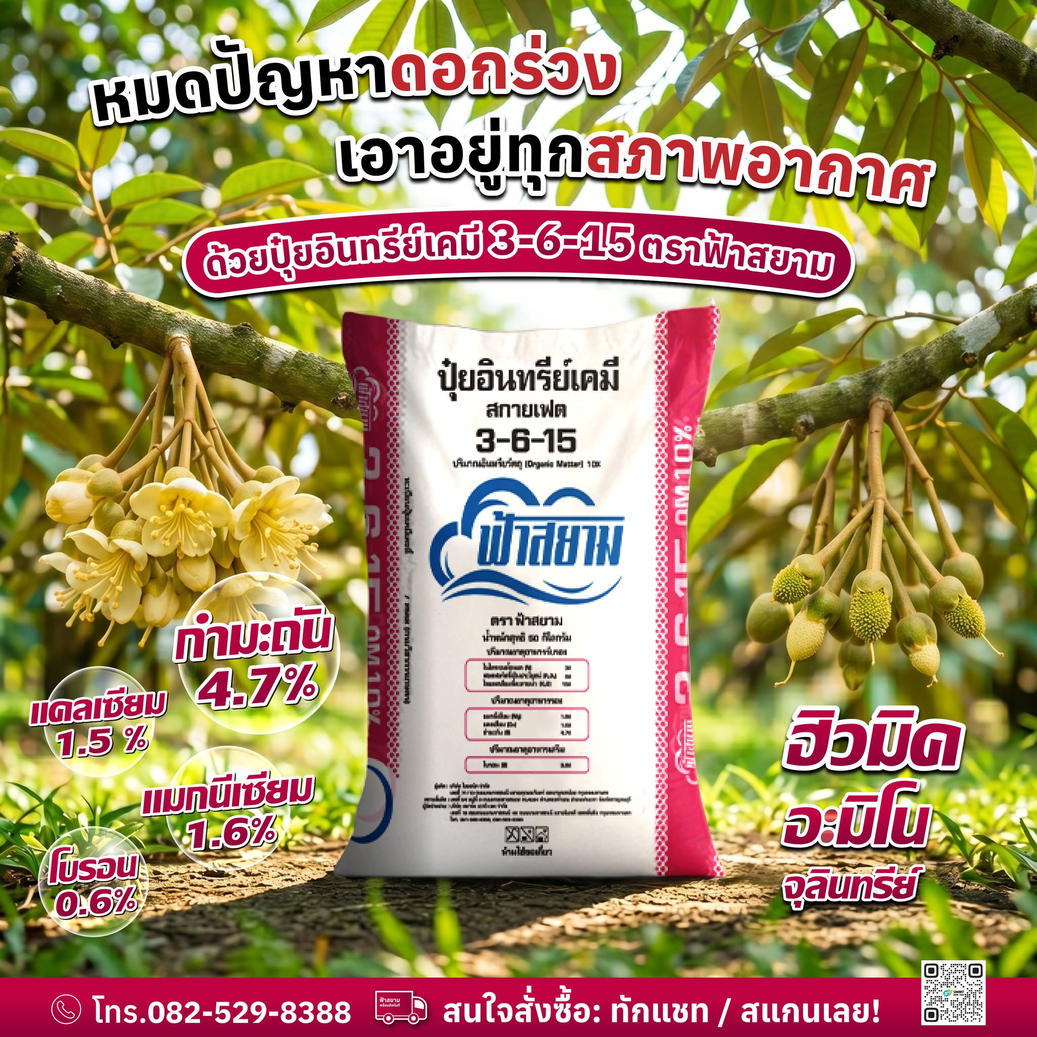 ปุ๋ยตราฟ้าสยาม Facebook ad: ฟ้าฝนเปลี่ยนบ่อย ดอกทุเรียนร่วงกราว…