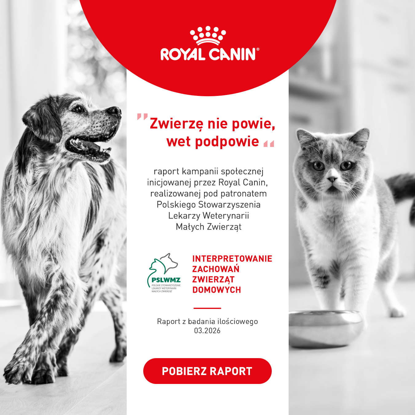 Royal Canin Facebook ad: Zwierzę nie powie, wet podpowie