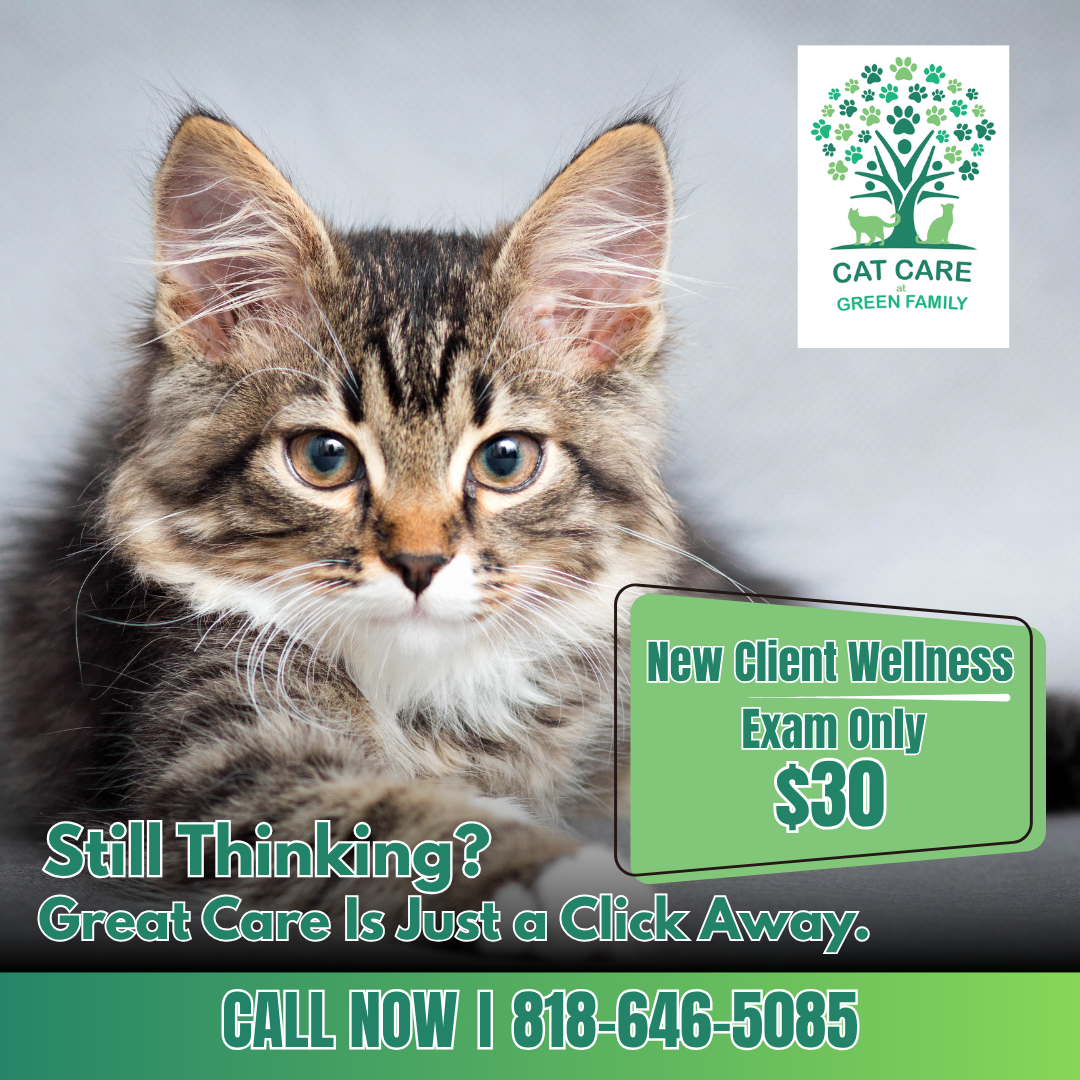 Green Family Veterinary Practice Facebook ad: Compassionate Care from a Cat-Focused Team