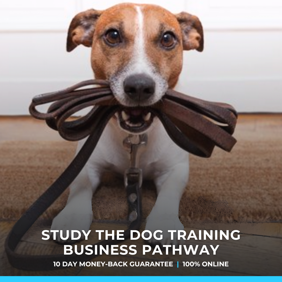 Get Course Co Facebook ad