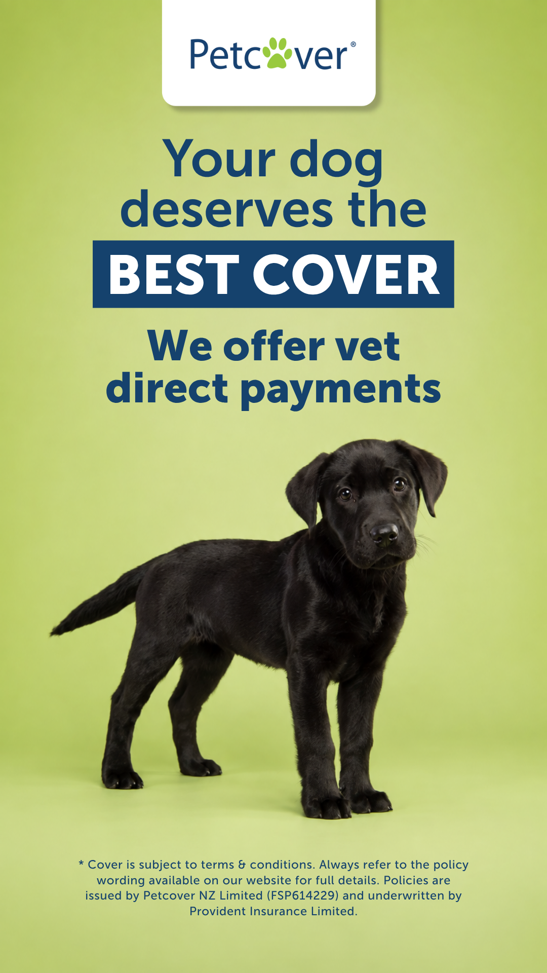 Petcover New Zealand Facebook ad