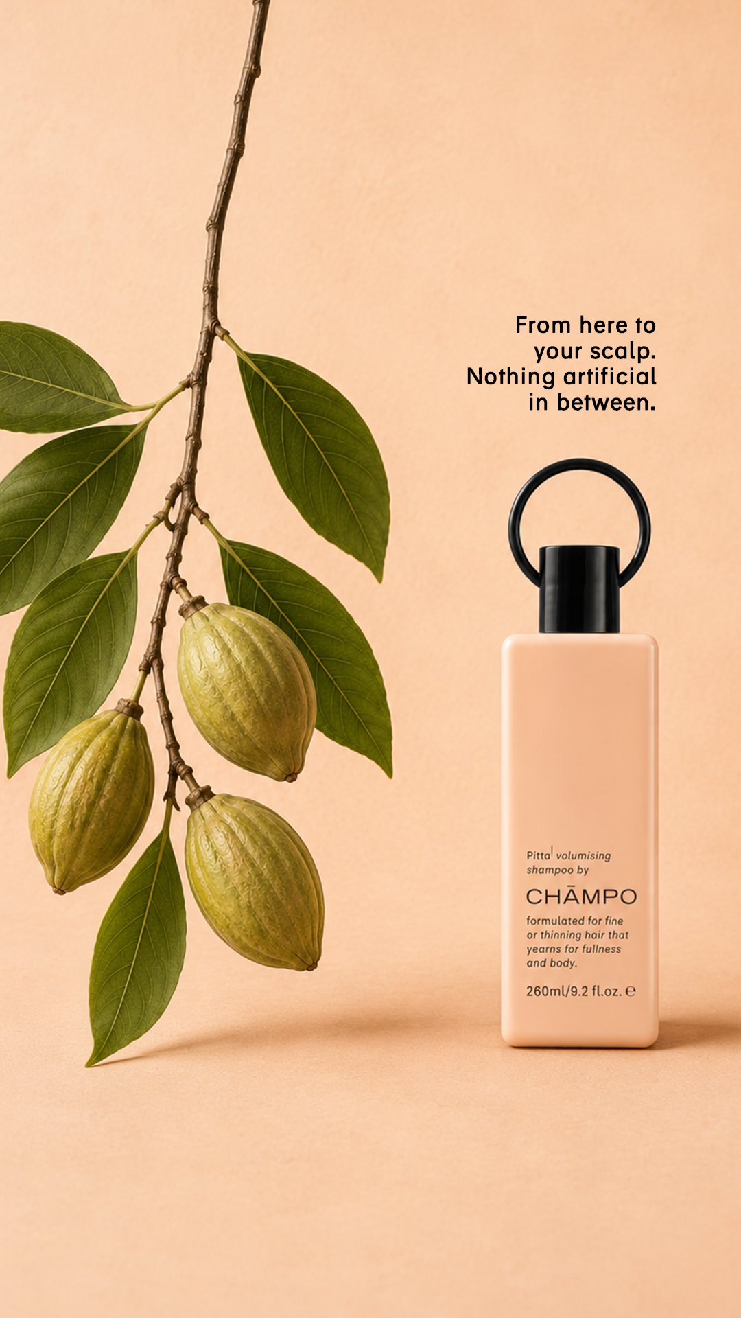 Chāmpo Haircare Facebook ad