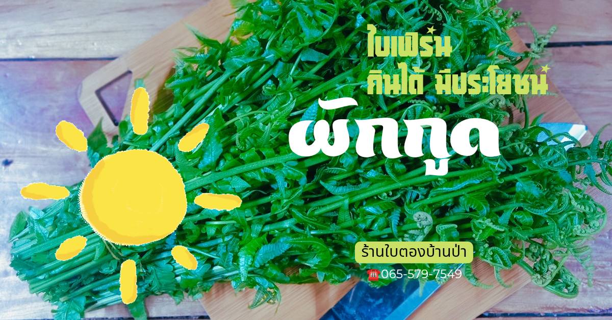 ใบตองบ้านป่า Facebook ad: พรุ่งนี้ 17/05/69 เวลา 03:15 น.