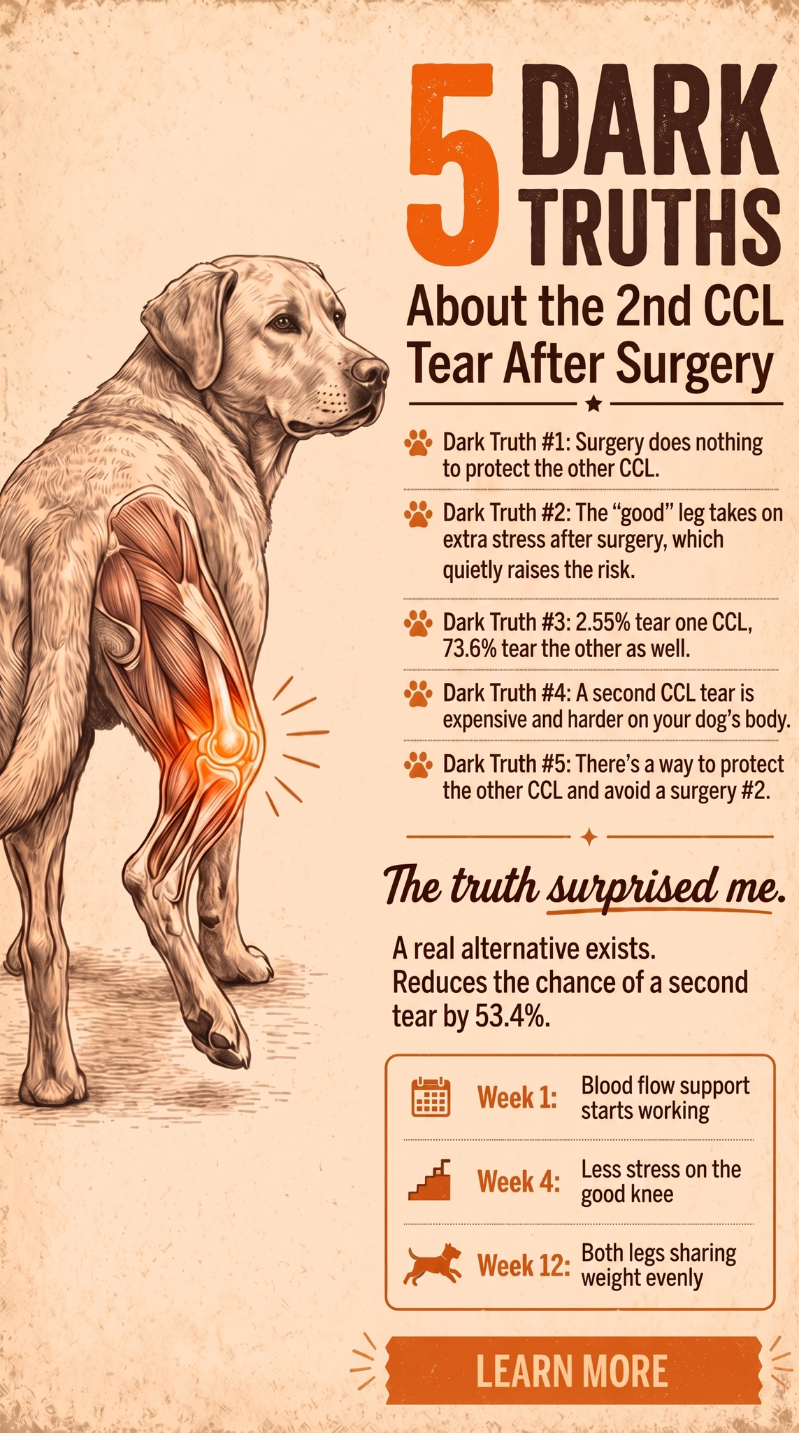 Dog Mom Diaries Facebook ad: 5 Dark Truths About the 2nd CCL Tear After Surgery