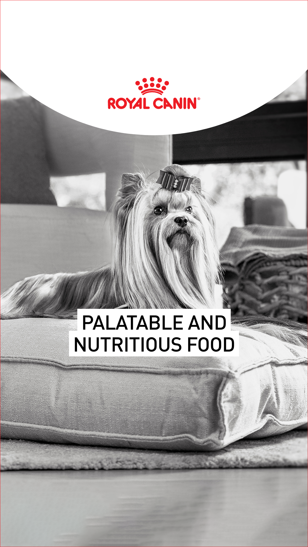 Royal Canin Facebook ad