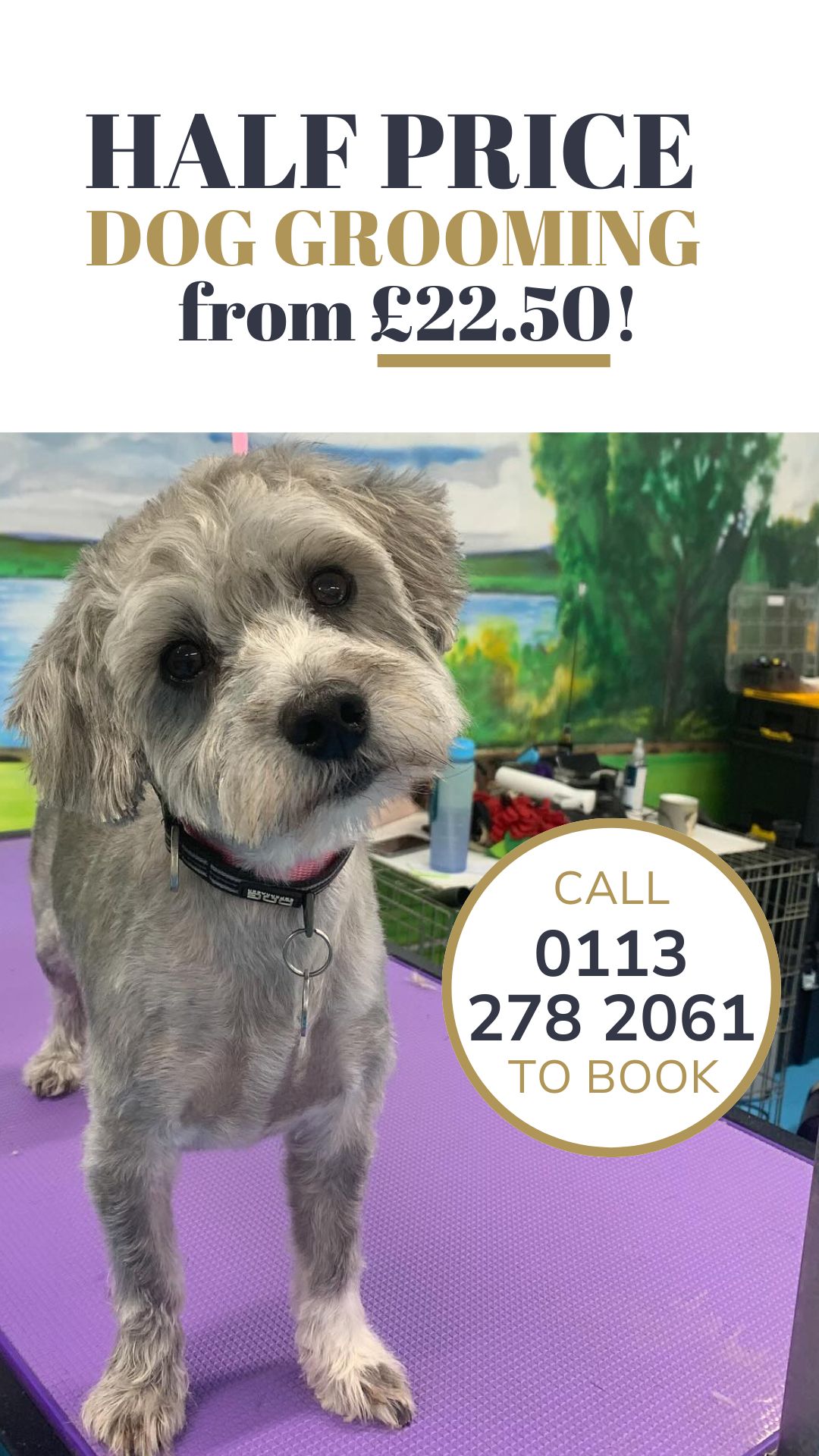 Mrs B's Dog Grooming & Grooming Academy Facebook ad