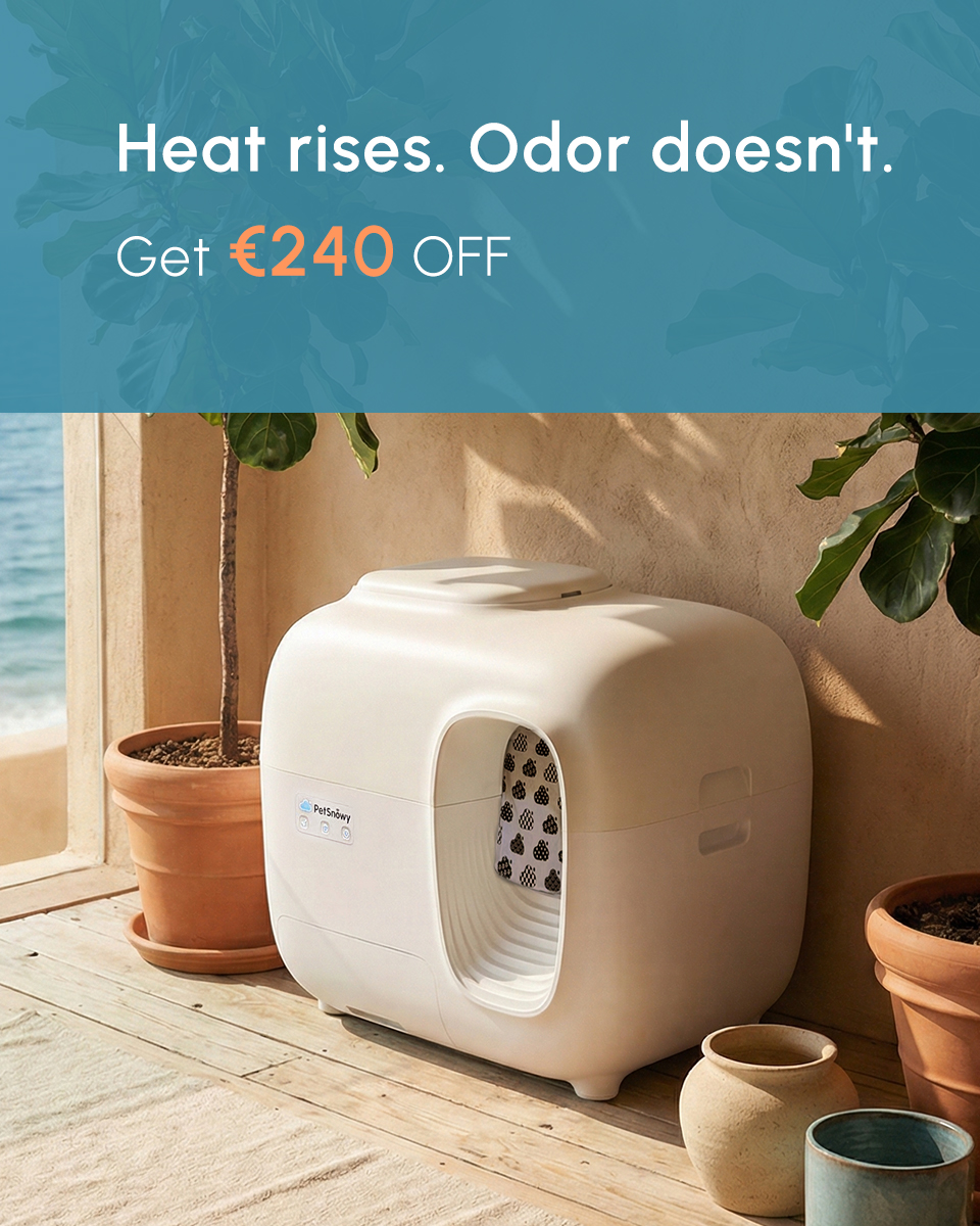 PetSnowy Facebook ad