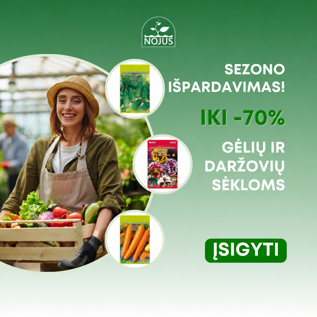 Nojaus sėklos Facebook ad