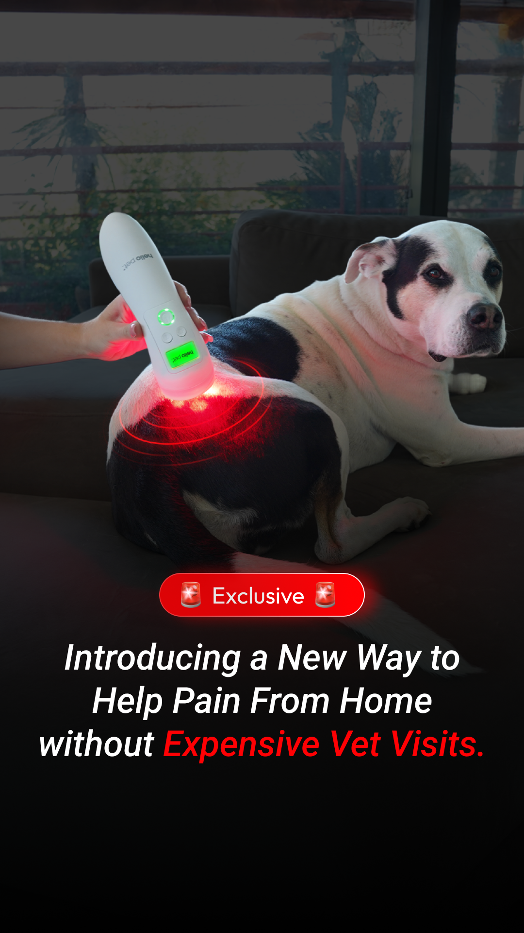 Animal Science Today Facebook ad