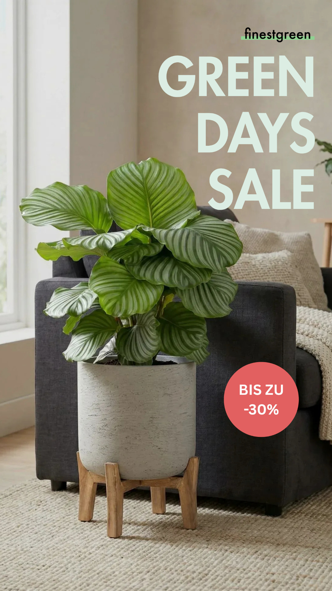 Finestgreen Facebook ad