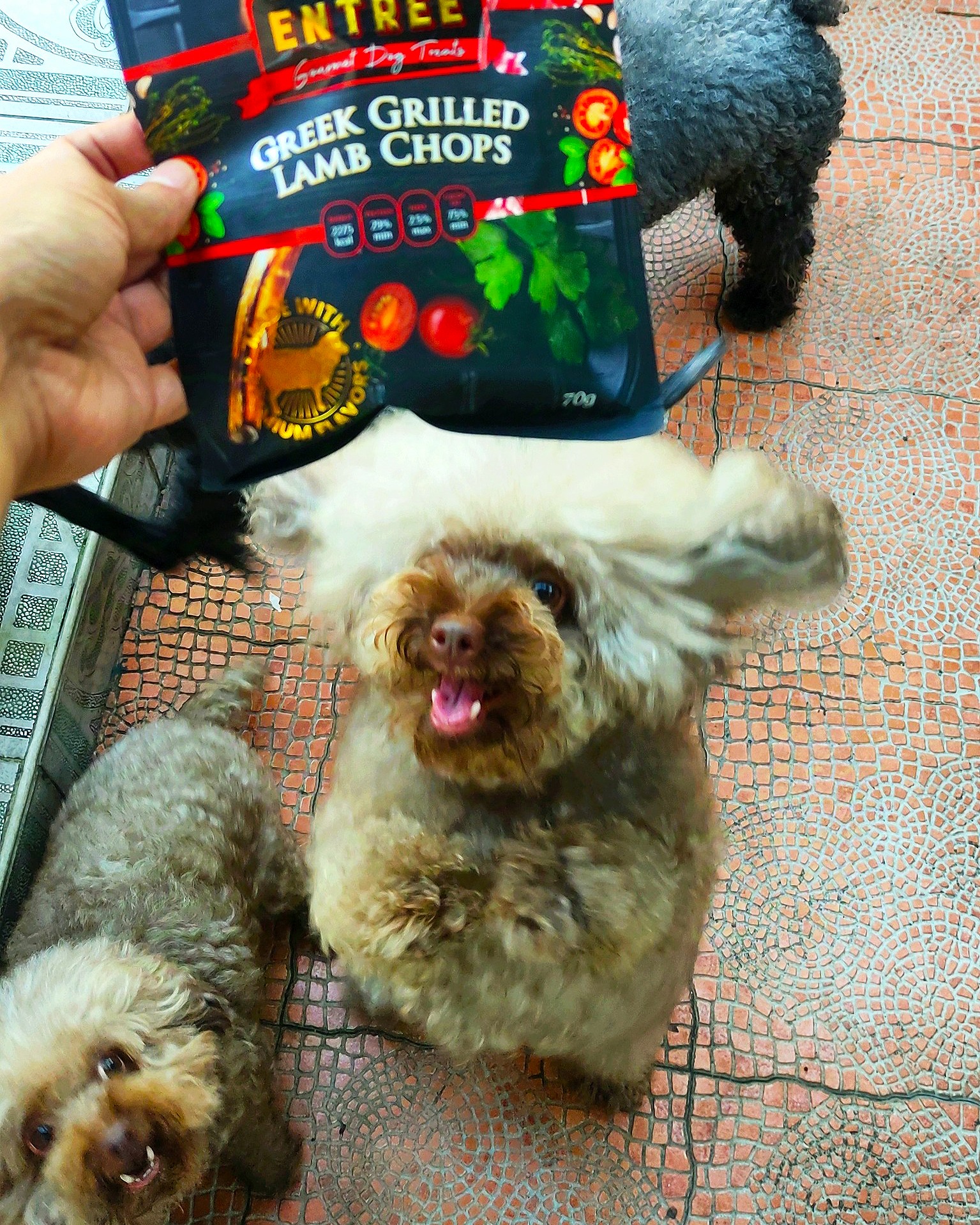 Entrée Gourmet Pet Treats Facebook ad