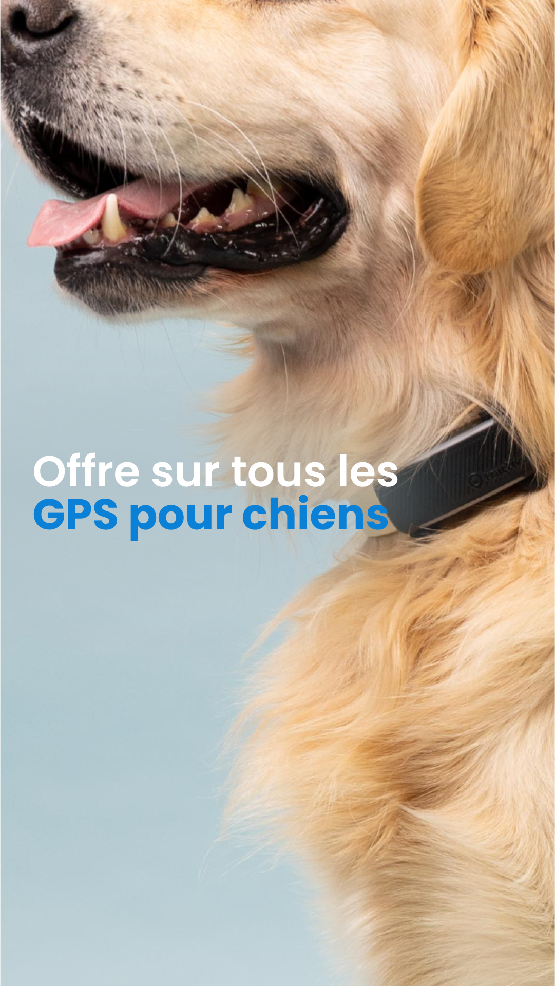 Tractive Facebook ad