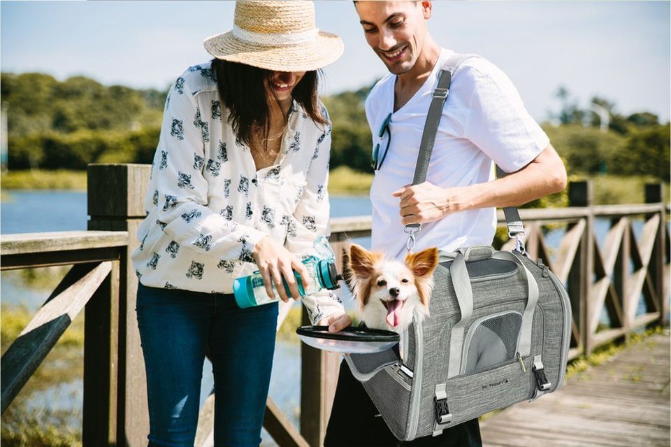Mr. Peanut's Pet Carriers Facebook ad