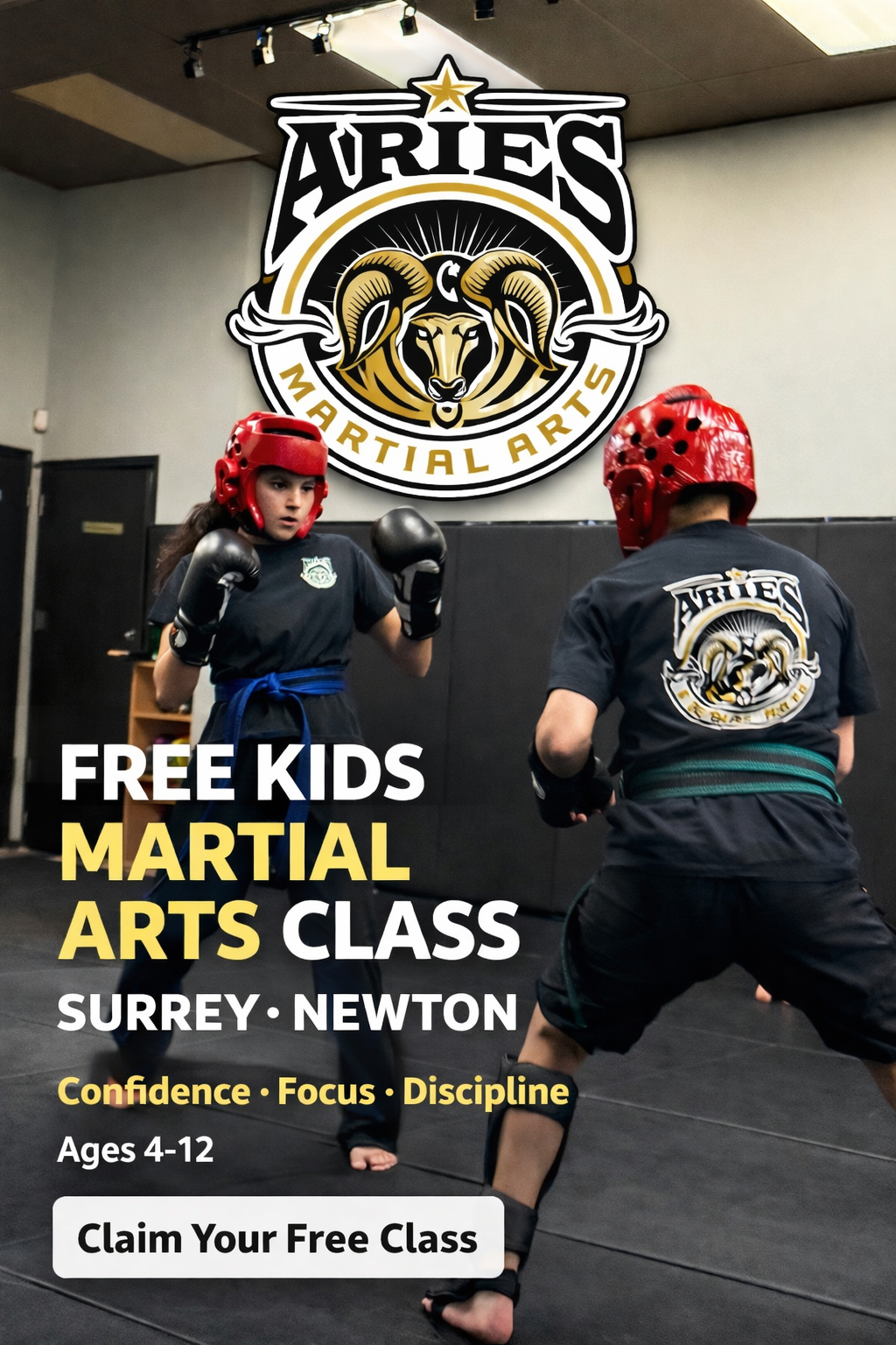 Aries Martial Arts Academy Facebook ad