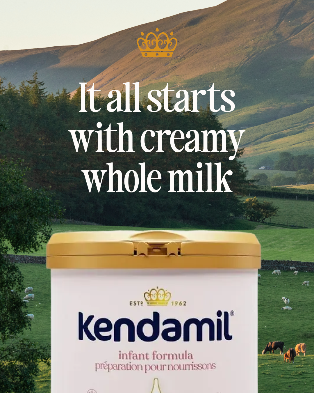 Kendamil Canada Facebook ad