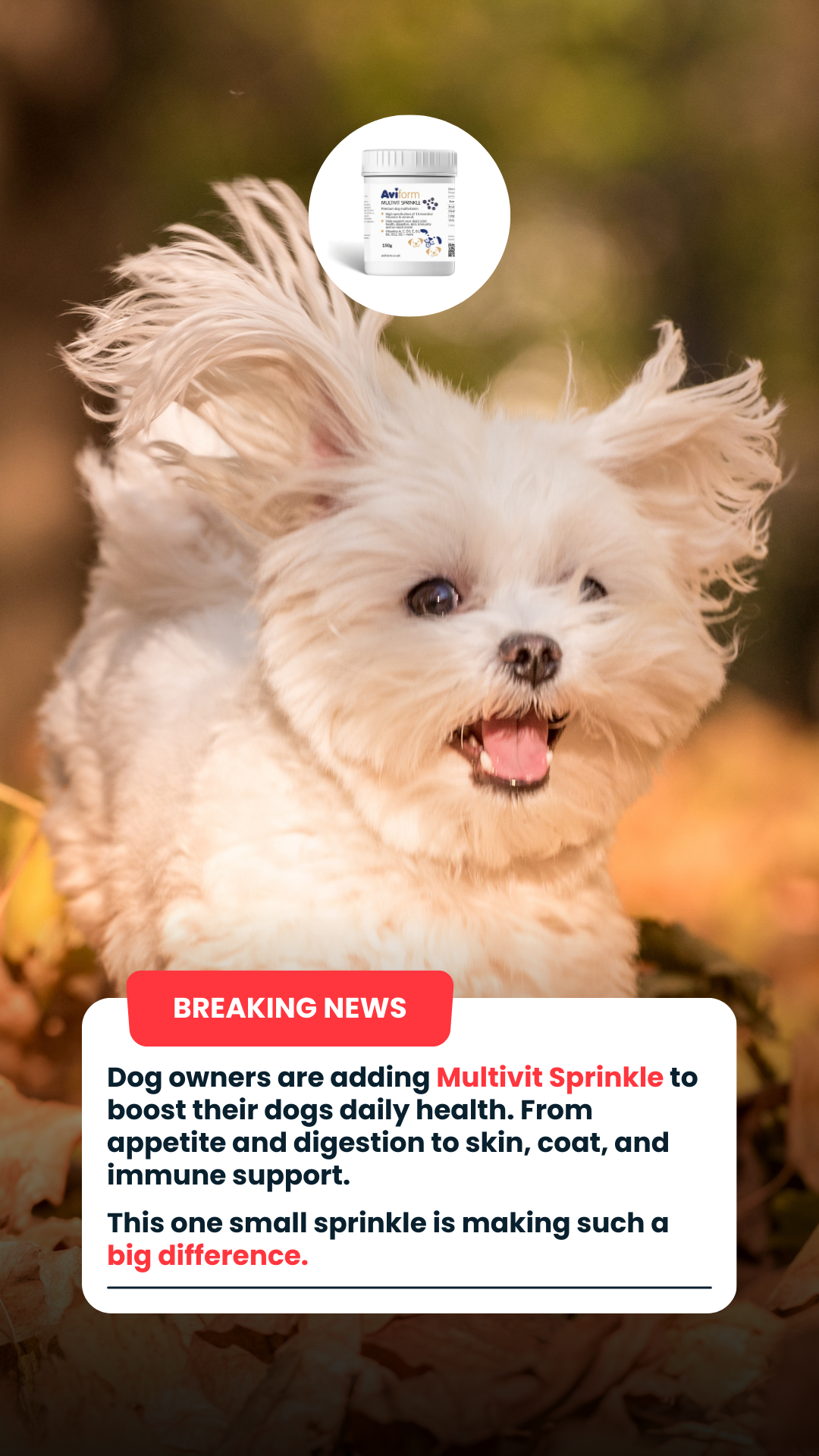 Aviform Nutrition UK - Horse & Dog Facebook ad
