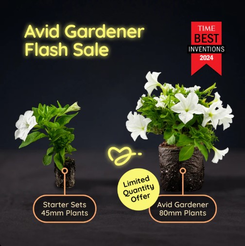 Light Bio Facebook ad: Glowing Plants by Light Bio
