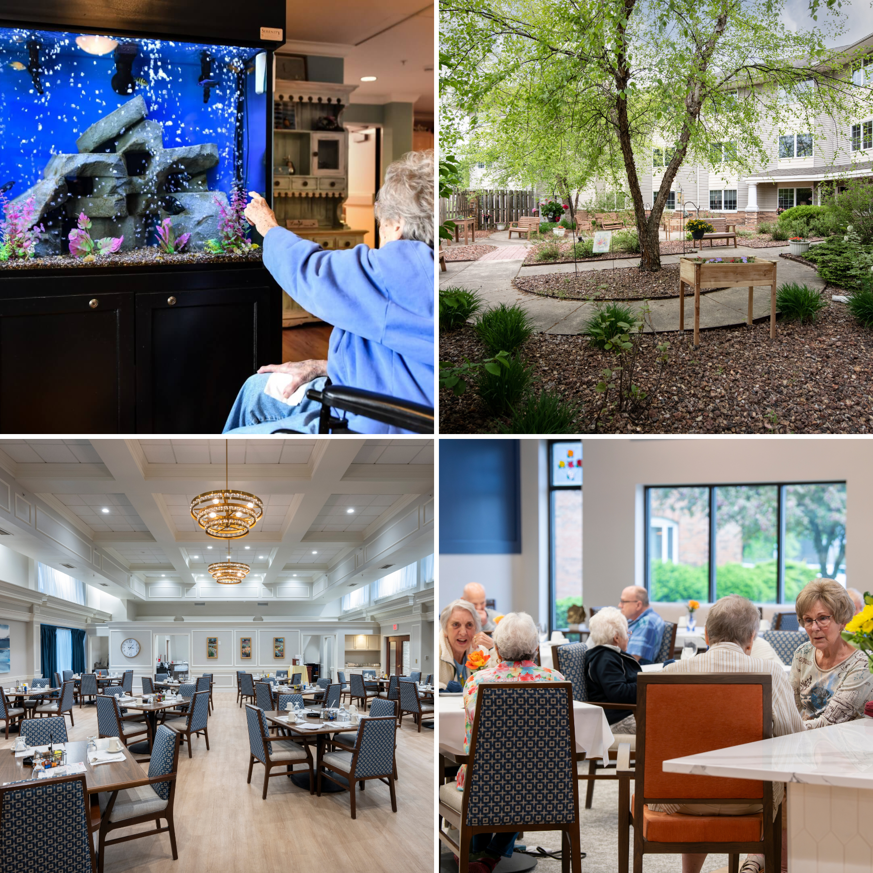 Otterbein Jackson SeniorLife Community Facebook ad: Assisted Living in Jackson, MI