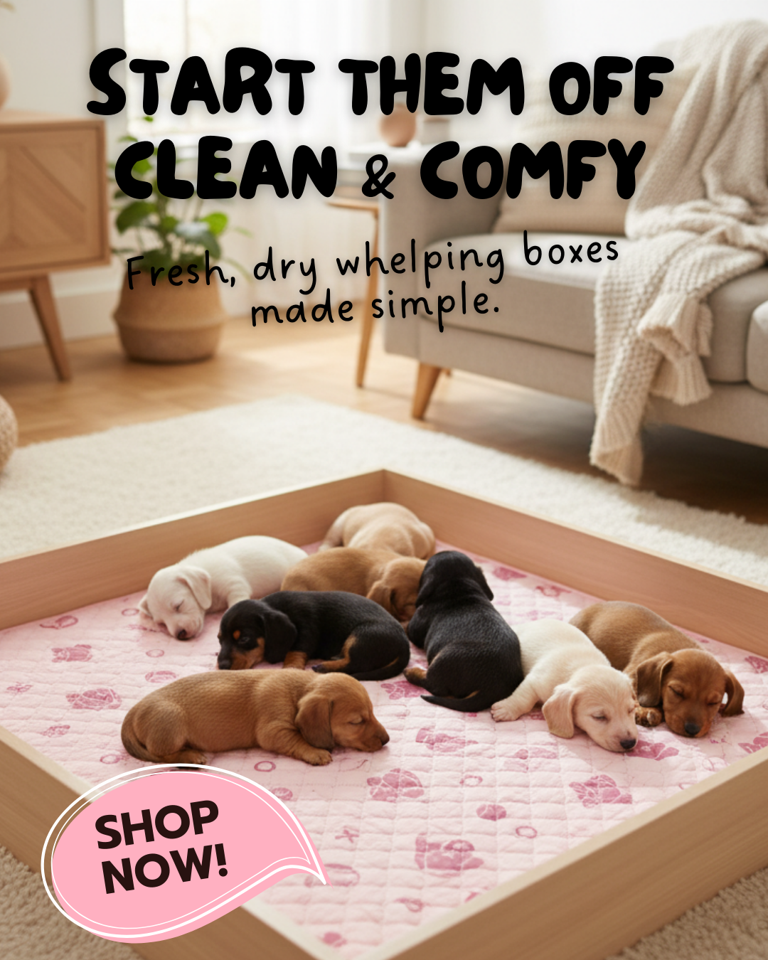 Potty Buddy Facebook ad