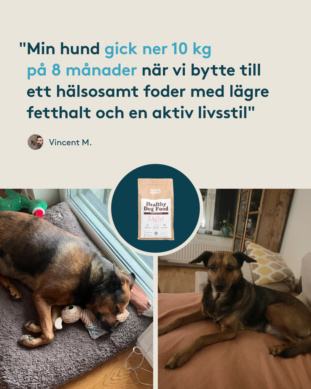 Hundcoachen Kicki Fellstenius Facebook ad from Mar 25, 2026