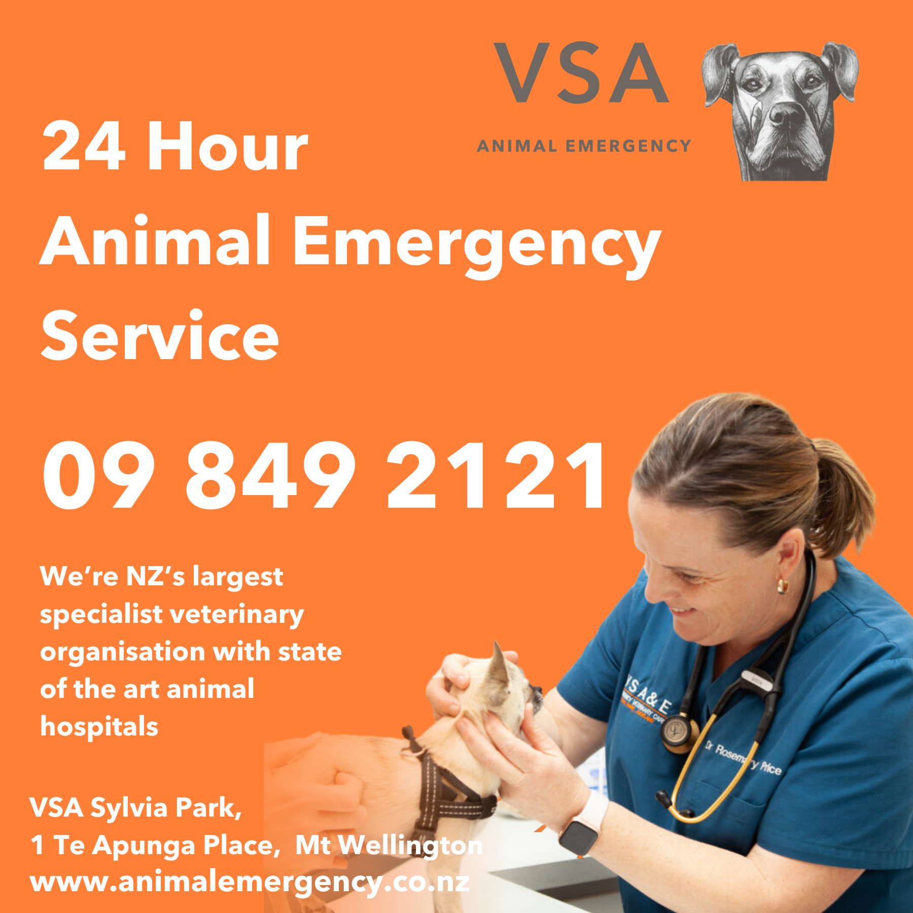 Veterinary Specialists Aotearoa Facebook ad