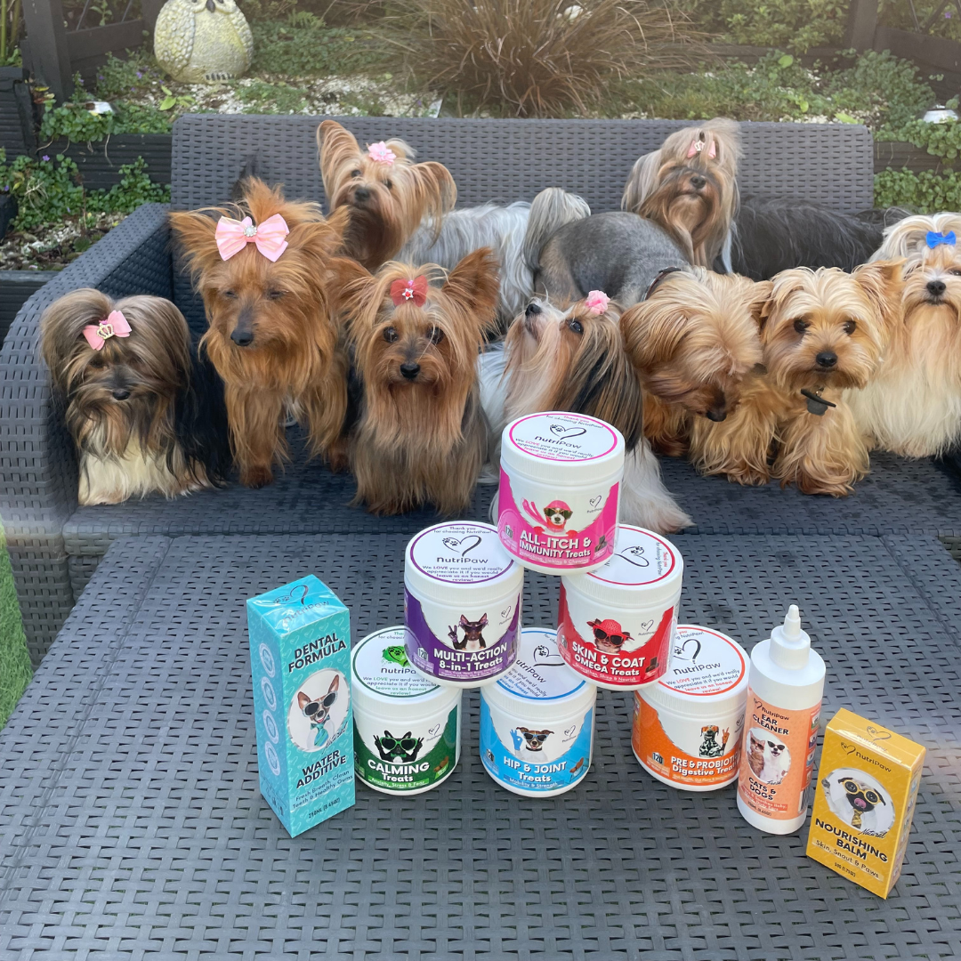 Nutri Paw Facebook ad