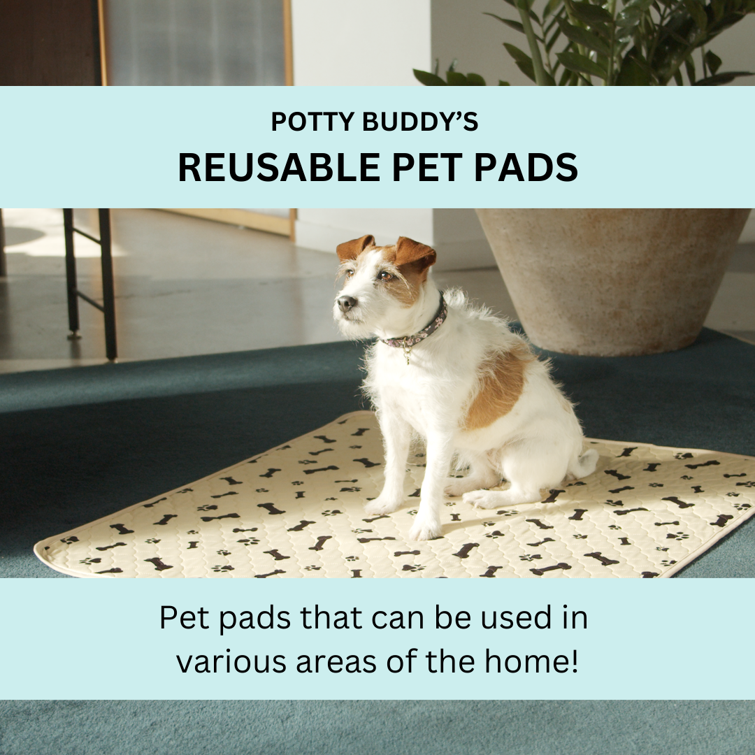 Potty Buddy Facebook ad