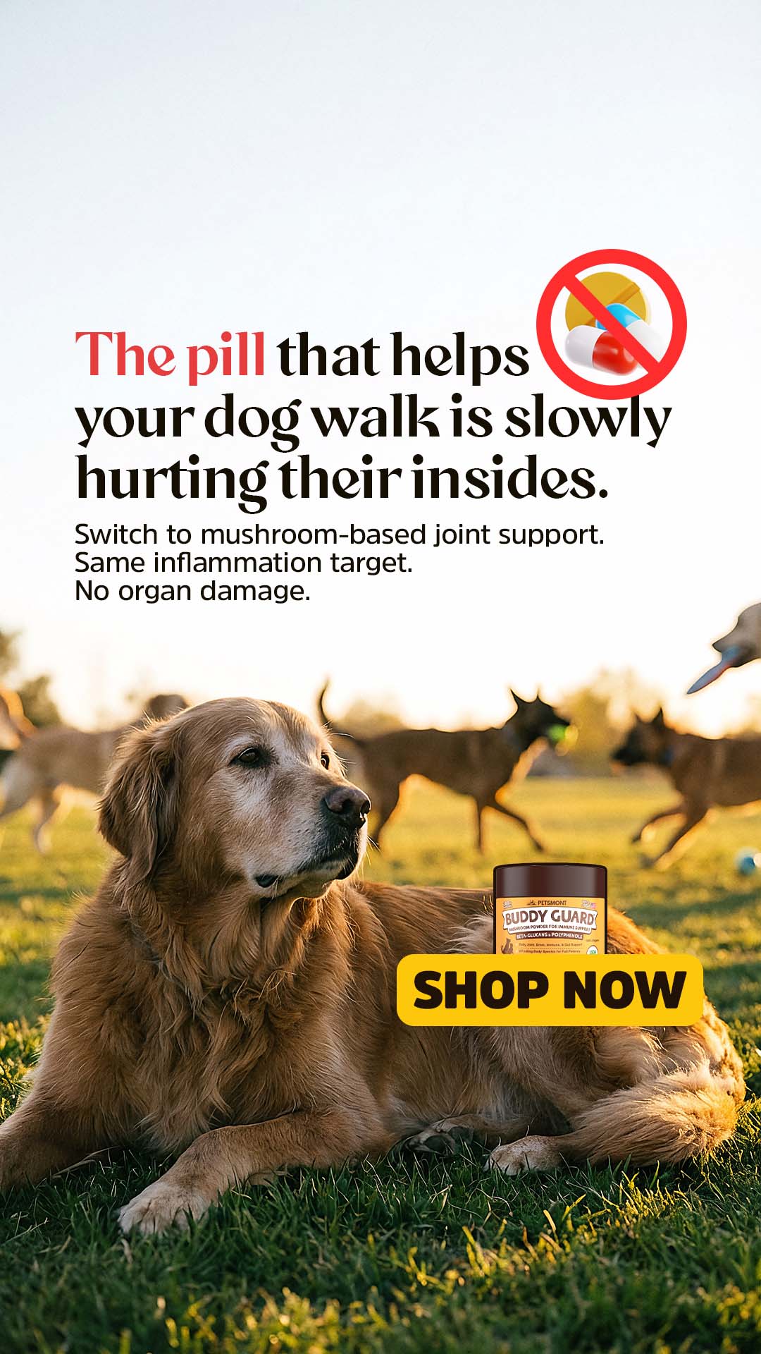 Well Pup Life Facebook ad