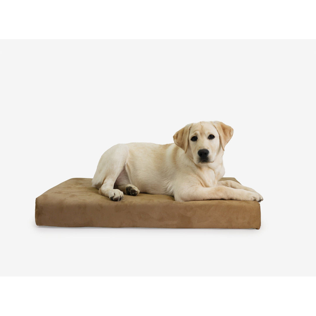 Barker Dog Beds Facebook ad