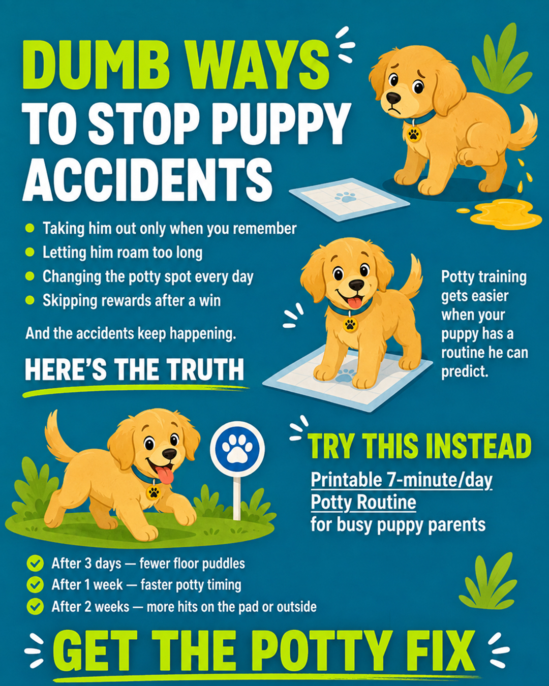 Puppy Tips for Training Facebook ad: Dog training doesn’t have to mean stress, barking…