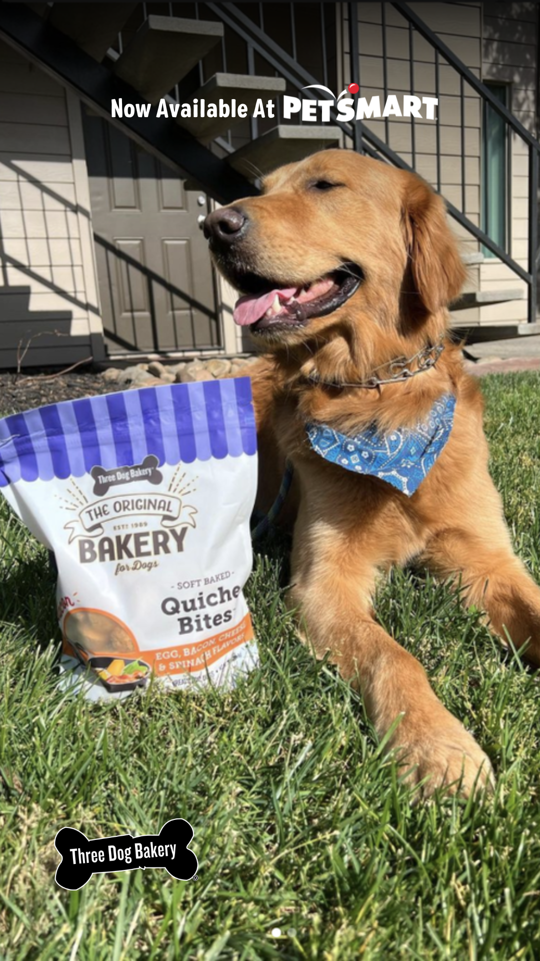 Three Dog Bakery Facebook ad