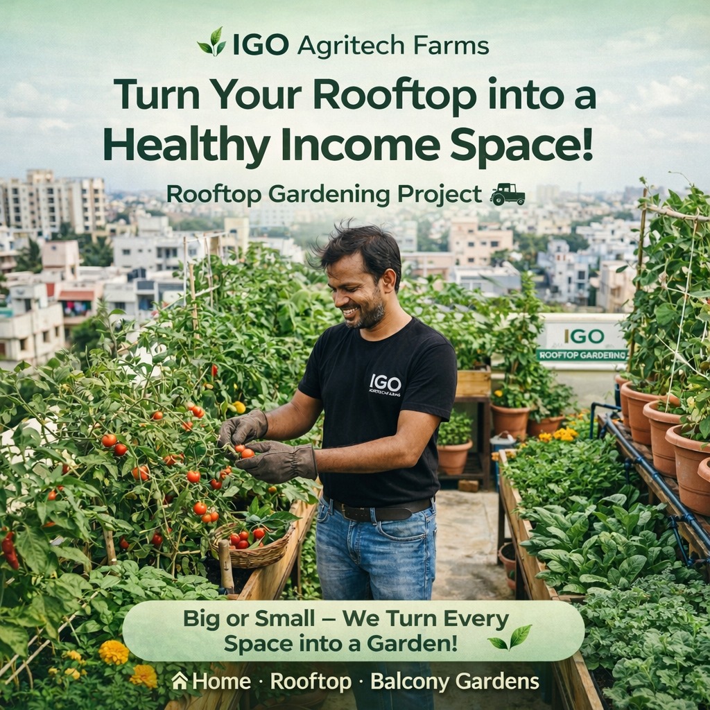 IGO Agri Techfarms Facebook ad