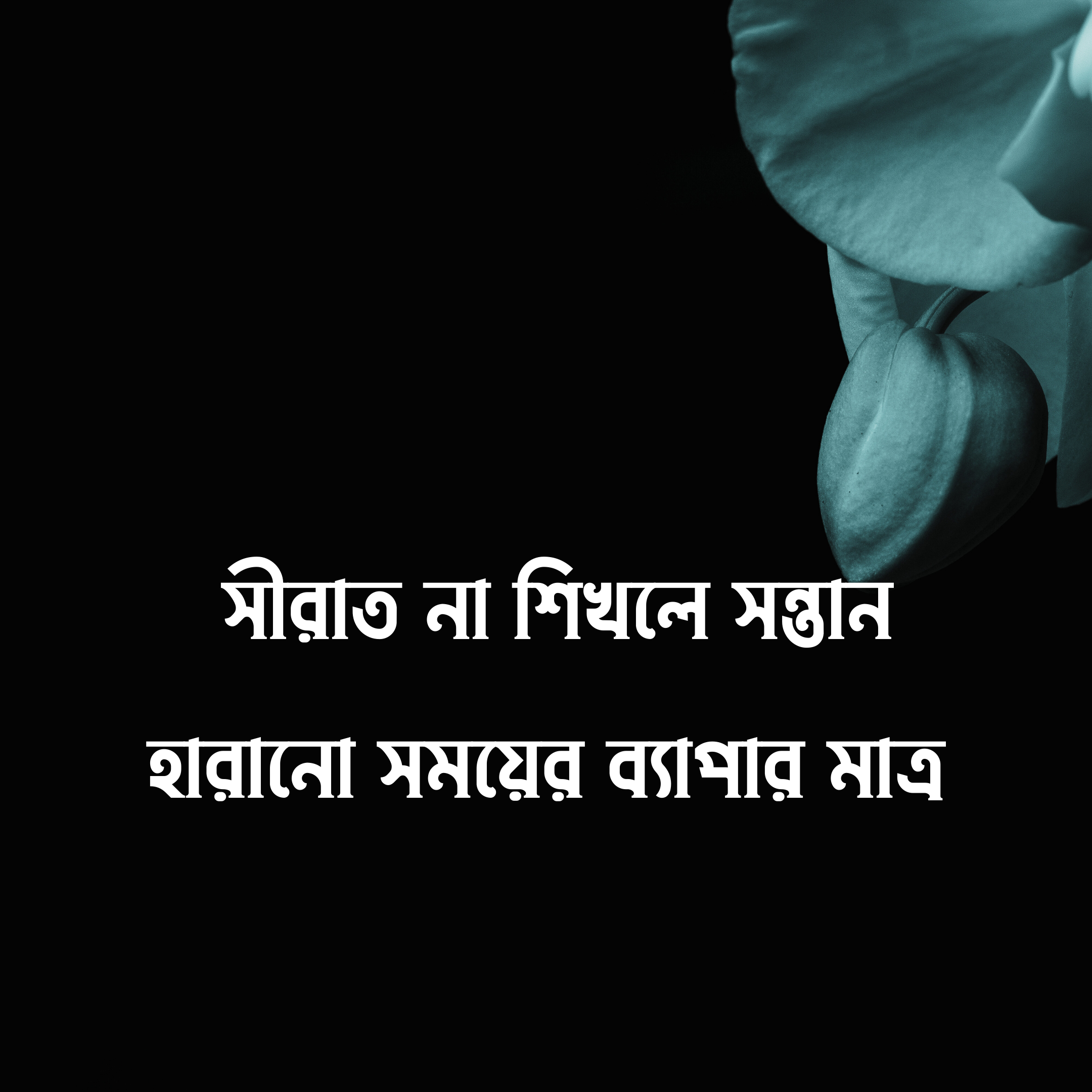 Seerat Academy Facebook ad: রাগ, জেদ ও screen addiction-এর সমাধান