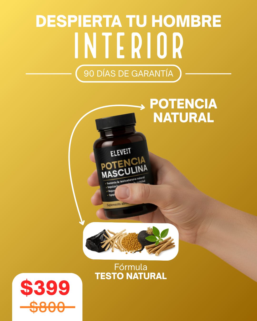 Eleveit MX Facebook ad