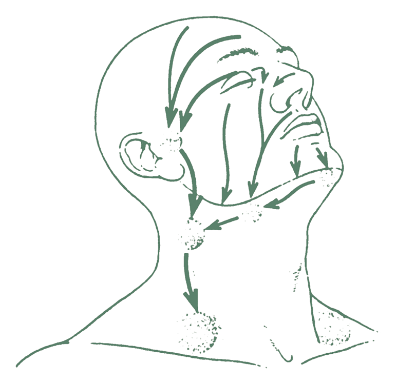Norton School of Lymphatic Therapy Facebook ad