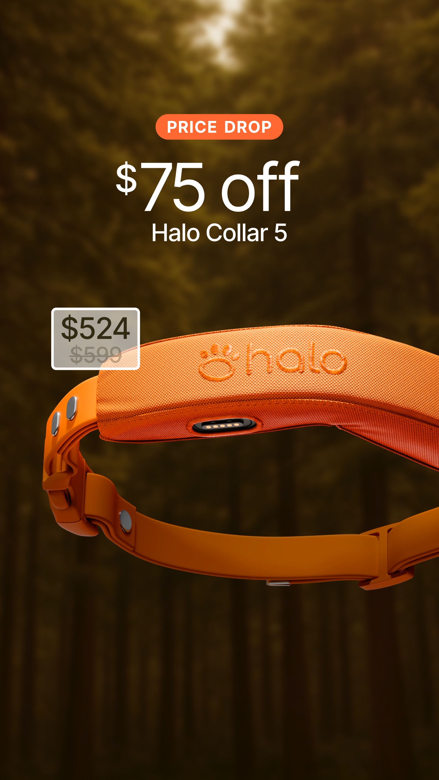 Halo Collar Facebook ad